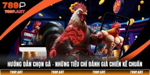 Hướng Dẫn Chọn Gà - Những Tiêu Chí Đánh Giá Chiến Kê Chuẩn