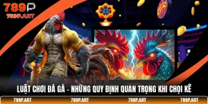 Luật Chơi Đá Gà - Những Quy Định Quan Trọng Khi Chọi Kê