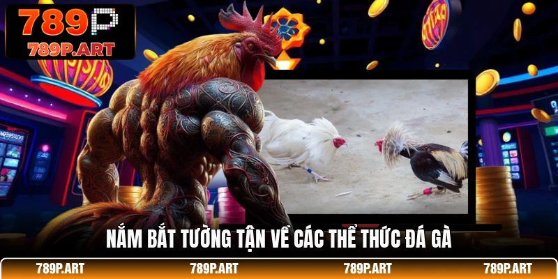 Nắm bắt tường tận về các thể thức đá gà