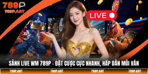 Sảnh Live WM 789P - Đặt Cược Cực Nhanh, Hấp Dẫn Mỗi Ván