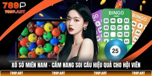 Xổ Số Miền Nam - Cẩm Nang Soi Cầu Hiệu Quả Cho Hội Viên
